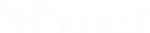 Foxium logo
