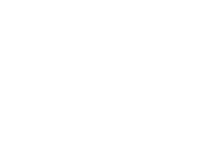 Red Tiger logo