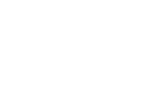 Mr Green logo